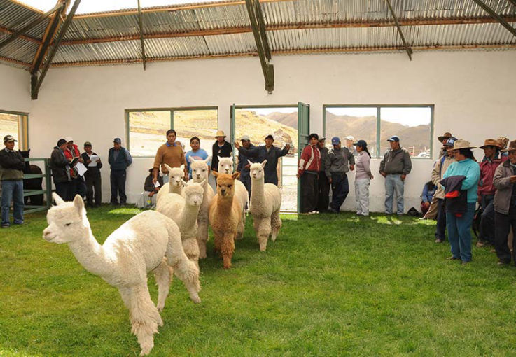 Peru